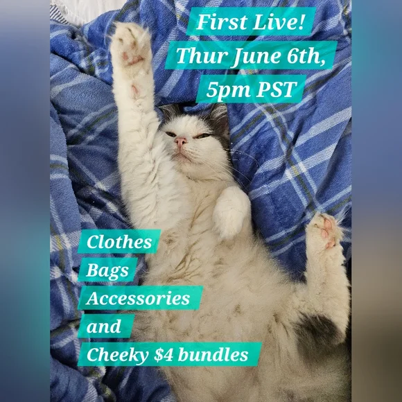 Live Show Flyer - Picture 7 of 10